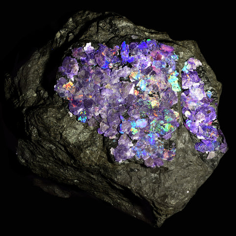 Purple Opal